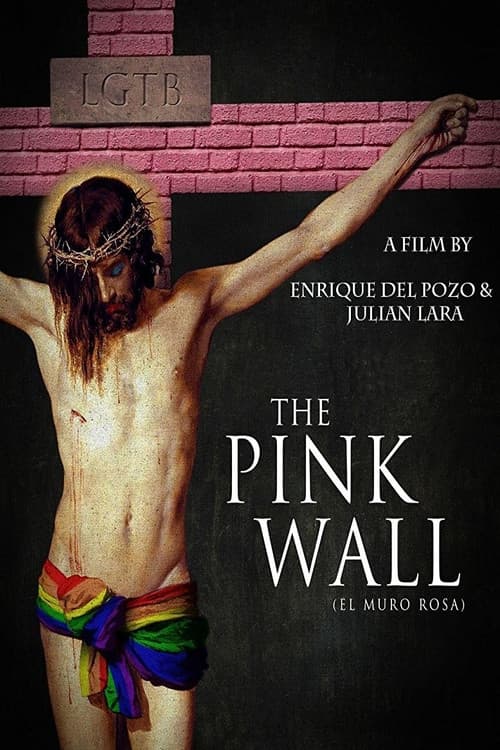 El muro rosa (2011) poster