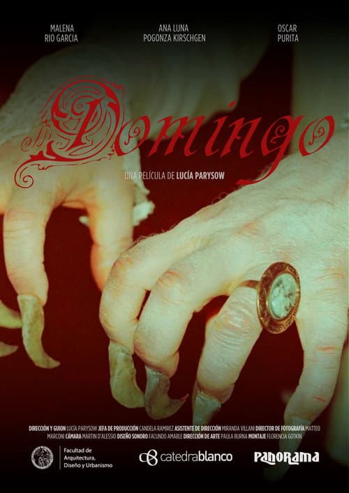Domingo (2024) poster