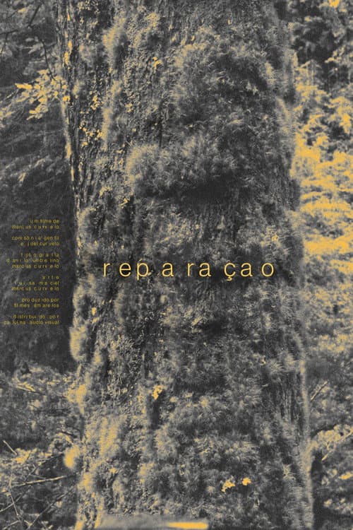 Reparação (2026) poster