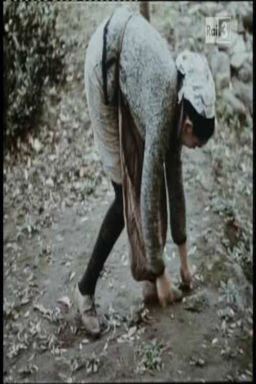 Tempo di raccolta (1966) poster