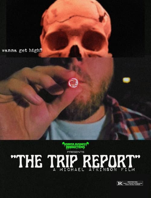 The Trip Report (2024) poster