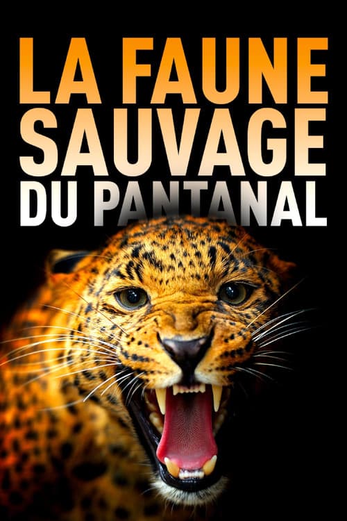 Unter Raubkatzen und Ameisenbären (2021) poster