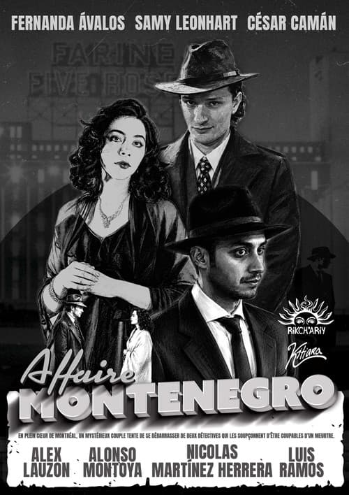 Affaire Montenegro (2026) poster