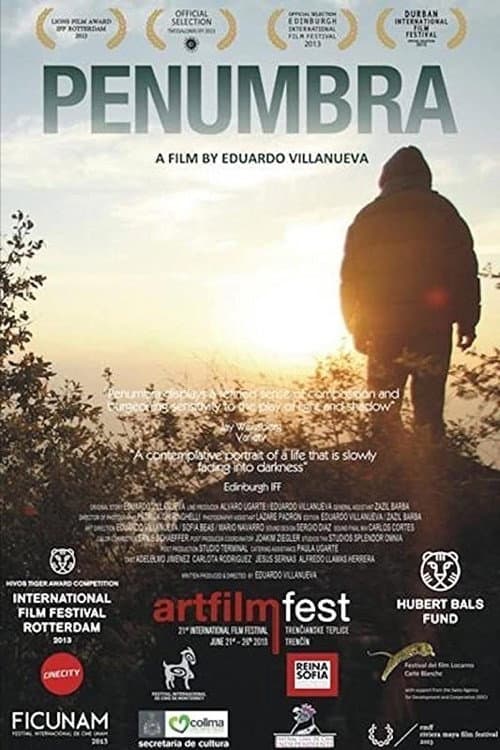 Penumbra (2013) poster