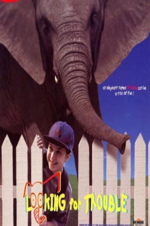 Looking for Trouble (1996) poster