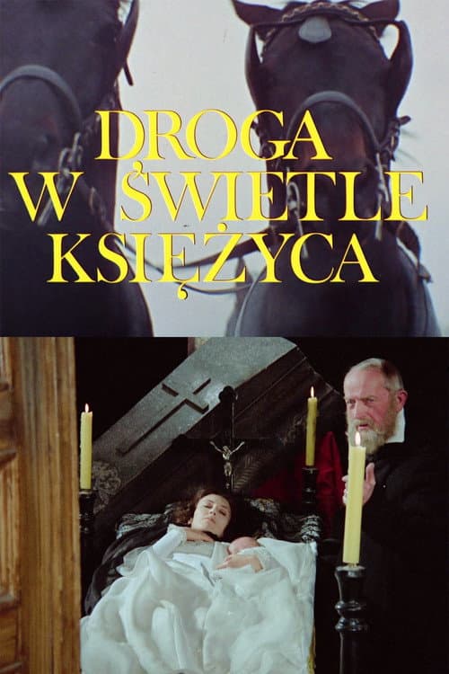 Droga w świetle księżyca (1973) poster