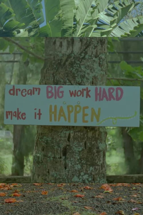 Dream Big, Work Hard, Make It Happen (2022) poster