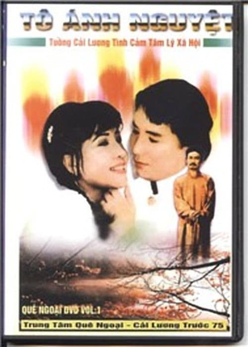 Tô Ánh Nguyệt (1985) poster