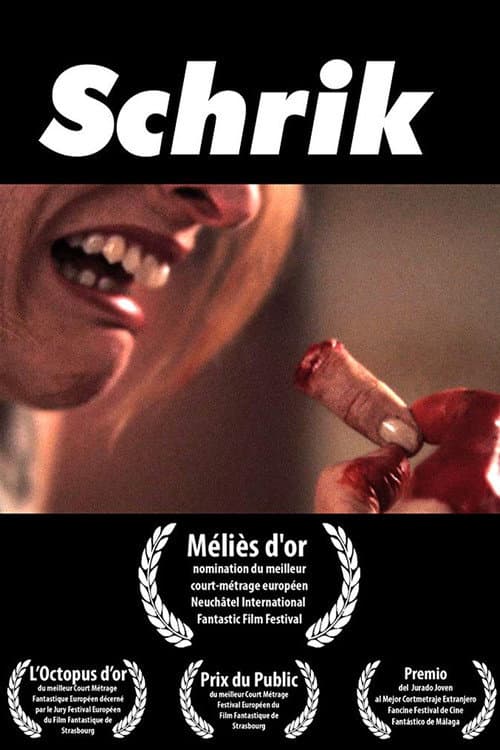 Schrik (2007) poster