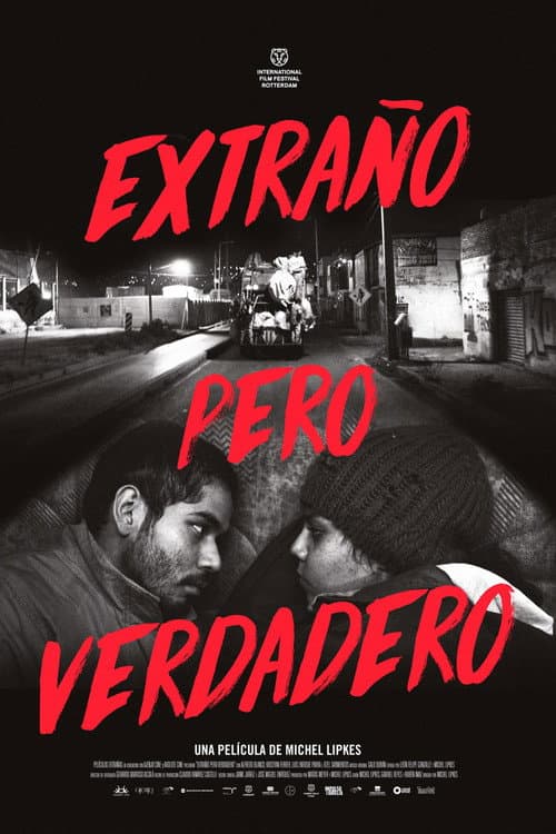 Extraño pero verdadero (2017) poster