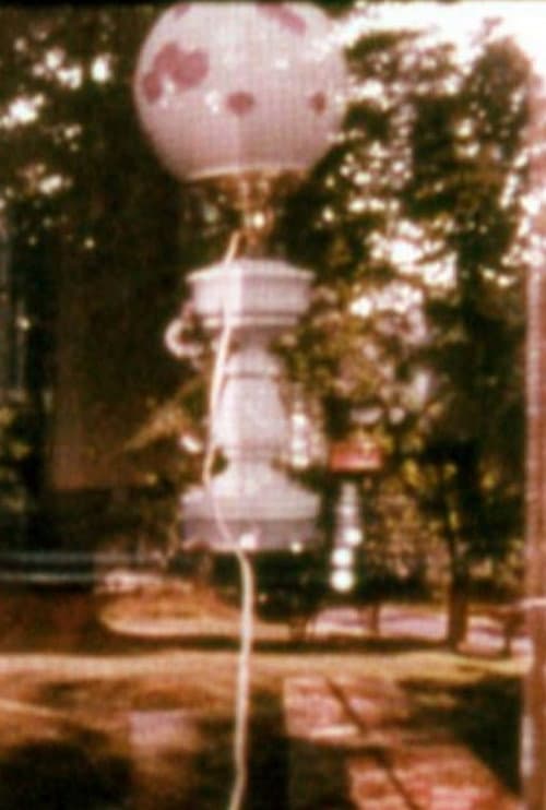 Group V: Endurance/Remembrance/Metamorphosis (1970) poster