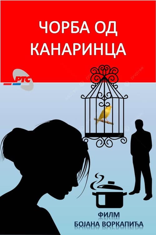 Čorba od kanarinca (2016) poster