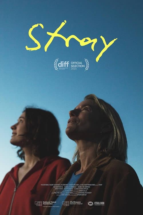 Stray (2025) poster