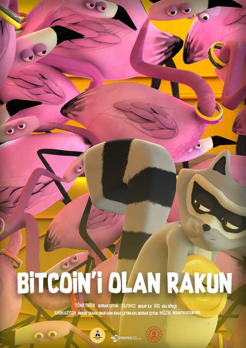 Bitcoin'i Olan Rakun (2020) poster
