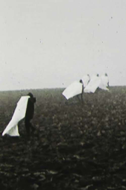 Landscape for White Squares (1972) poster