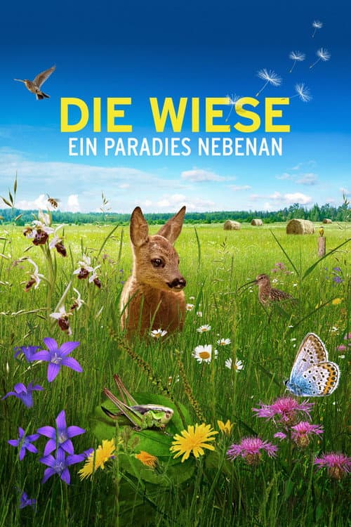 Die Wiese: Ein Paradies nebenan (2019) poster