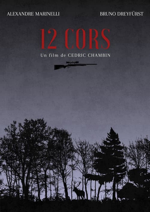 12 Cors (2025) poster