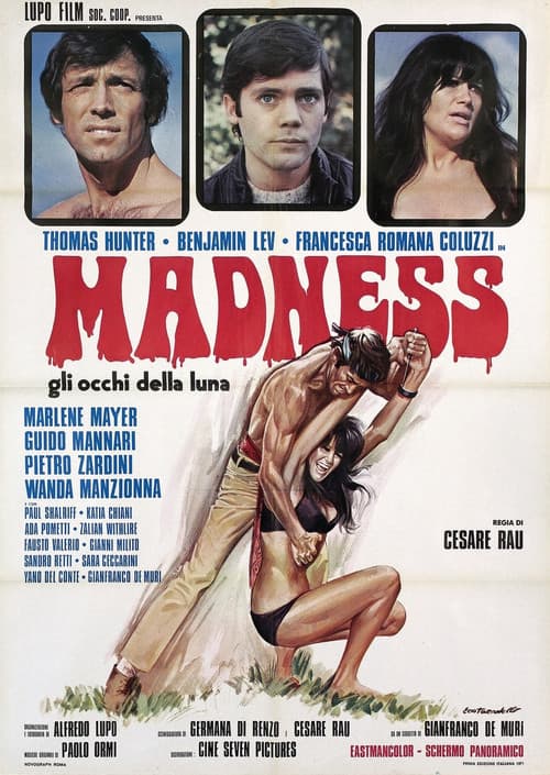 Madness - Gli occhi della luna (1971) poster