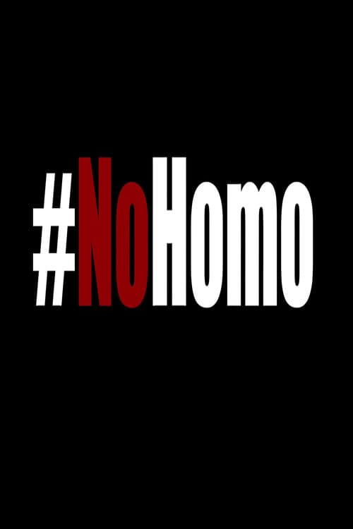 No Homo (2015) poster