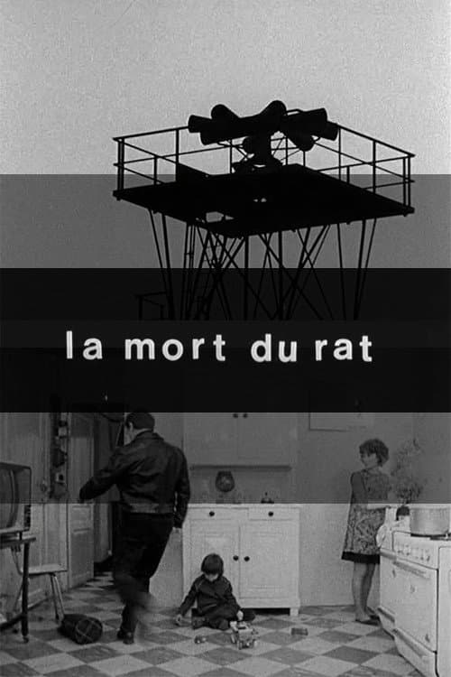 La Mort du rat (1975) poster