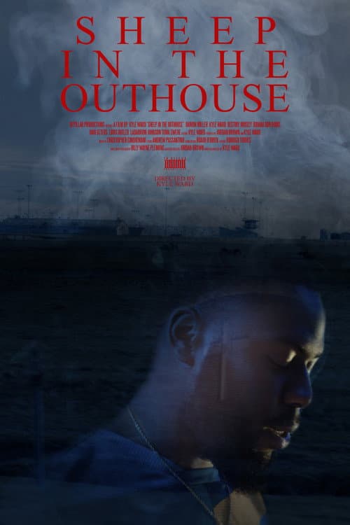 Sheep in the Outhouse (2019) poster