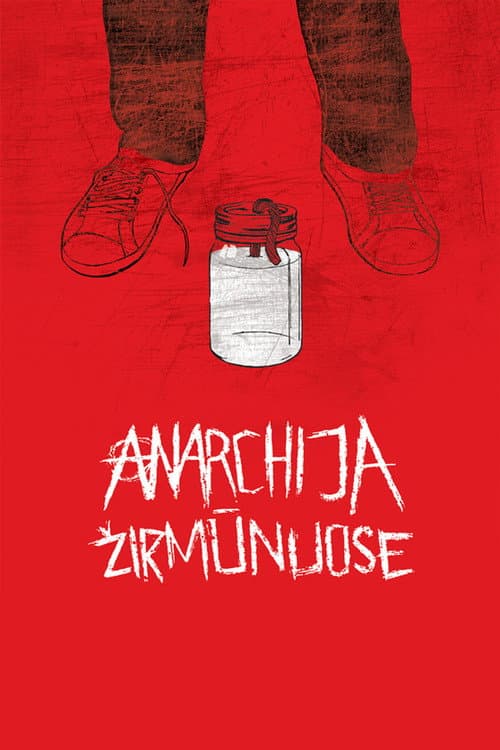 Anarchija Žirmūnuose (2010) poster
