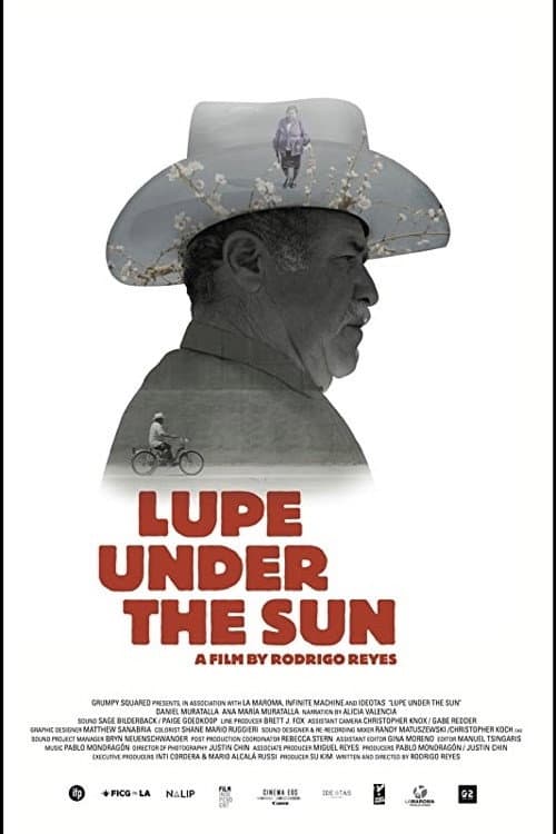 Lupe bajo el sol (2016) poster