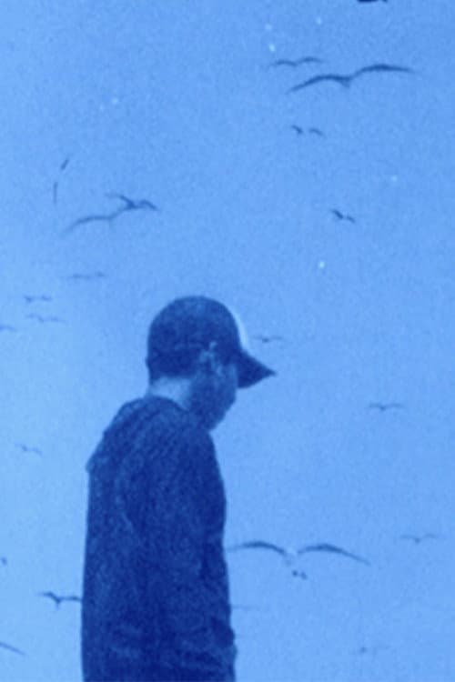 cielo abierto / mar abierto / suelo abierto (2022) poster