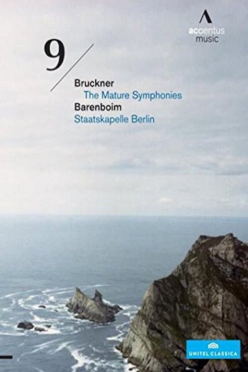 Bruckner Symphony No. 9 (2010) poster
