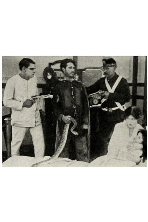 The Rattlesnake (1913) poster