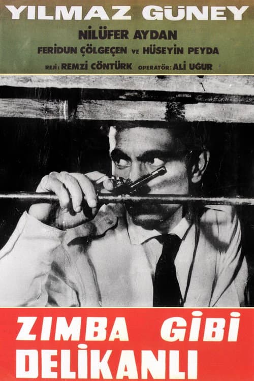 Zımba Gibi Delikanlı (1964) poster