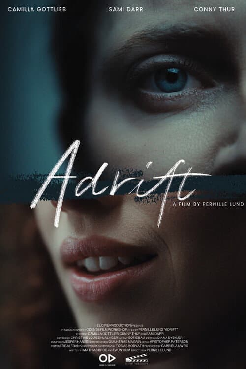 Adrift (2024) poster