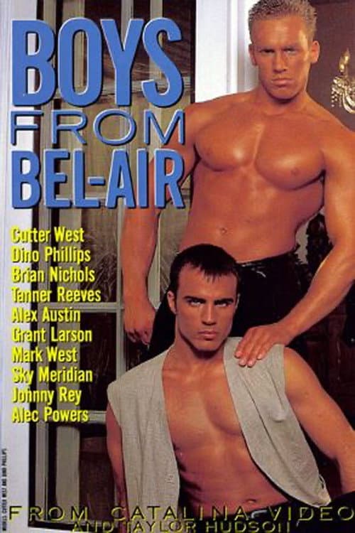 Boys from Bel-Air (1996) poster