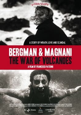 The War of the Volcanoes (2012) poster
