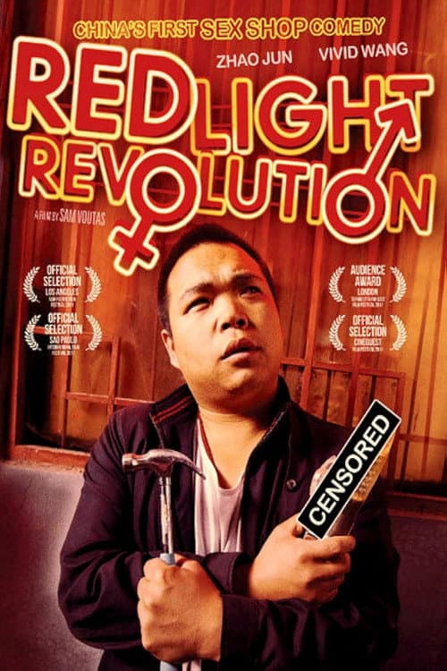 Red Light Revolution (2010) poster