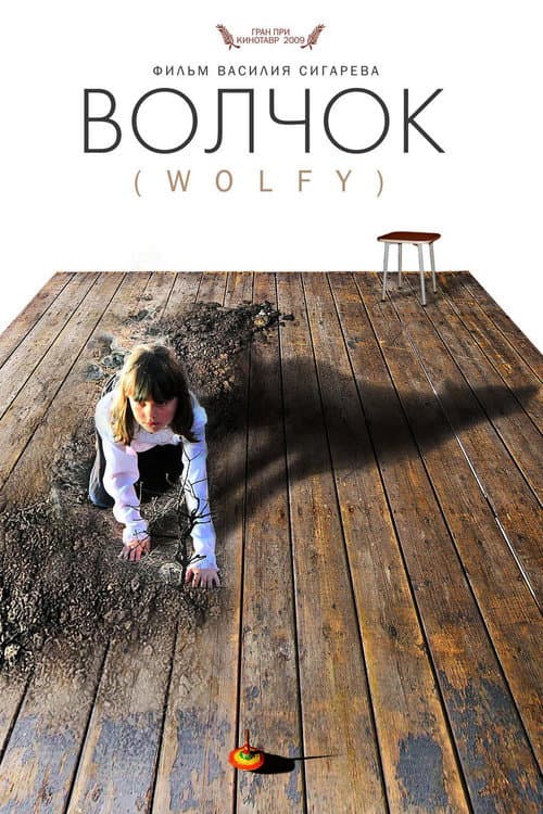 Волчок (2009) poster