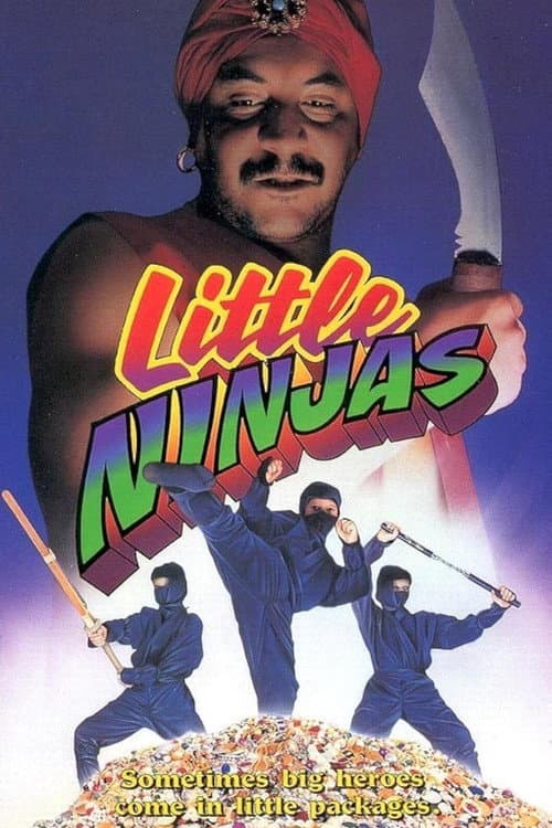 3 Little Ninjas and the Lost Treasure (1993) poster