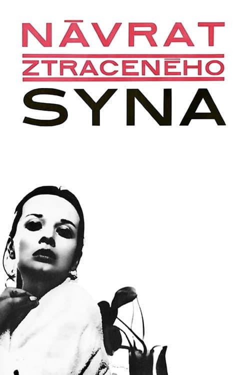 Návrat ztraceného syna (1967) poster