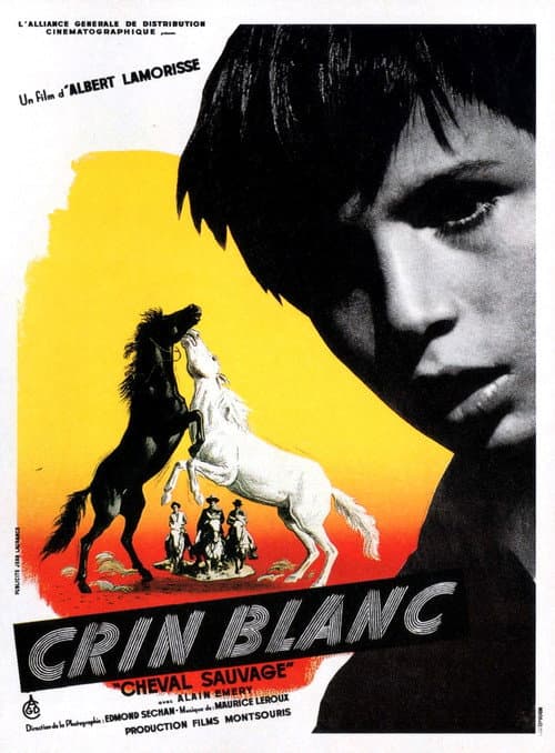 Crin Blanc : Le Cheval sauvage (1953) poster