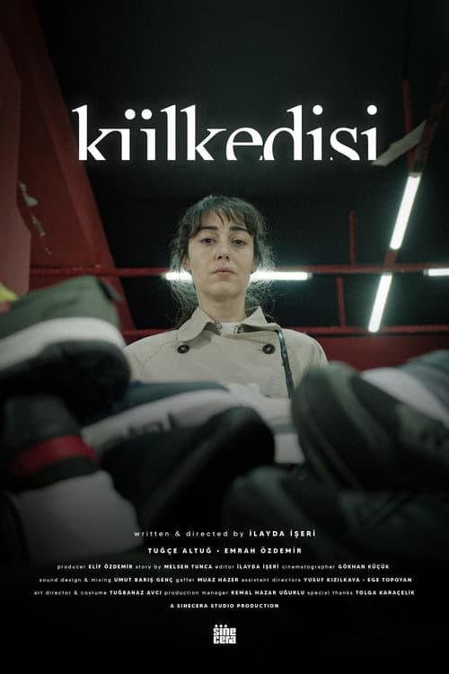 Külkedisi (2026) poster