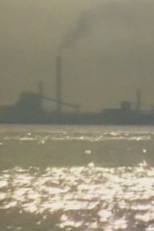 Porto Marghera, il lavoro contro la vita (1979) poster