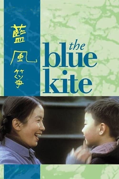 De Blauwe Vlieger (1994) poster