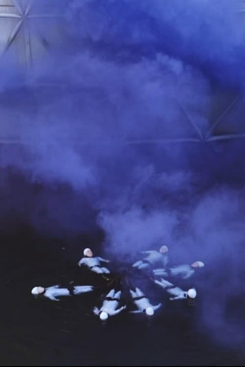 Pleasure Prospects (2019) poster