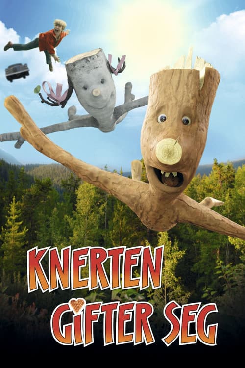 Knoester en Berkelientje (2010) poster