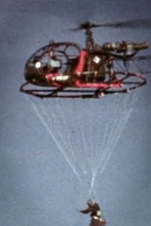 Above It All (1969) poster