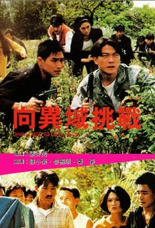Challenge to Devil Area (1991) poster