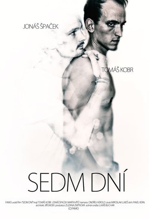 Sedm dní (2012) poster