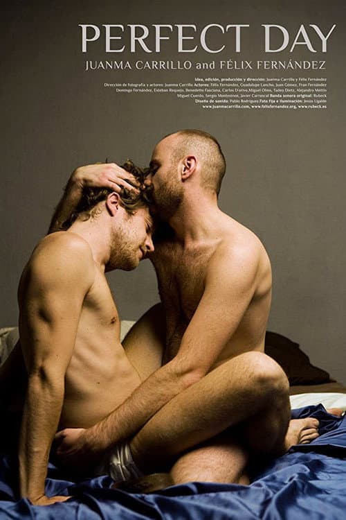 Perfect Day (2010) poster