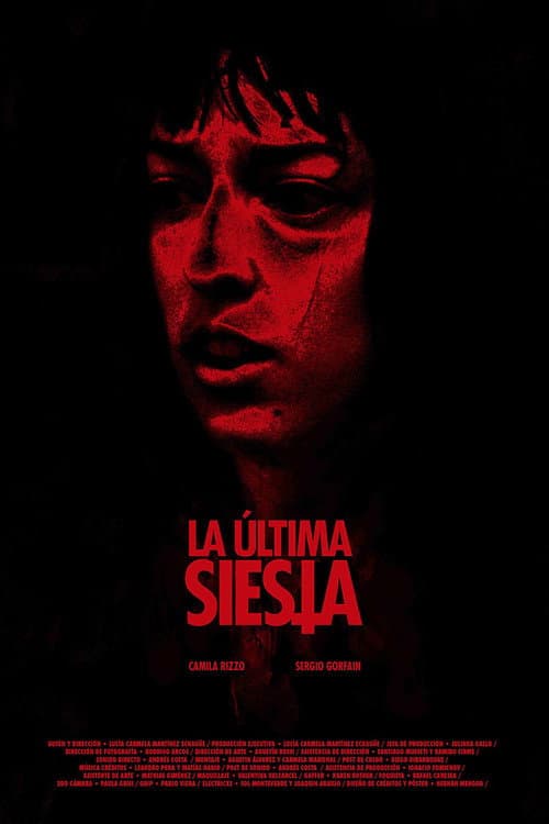 La última siesta (2024) poster