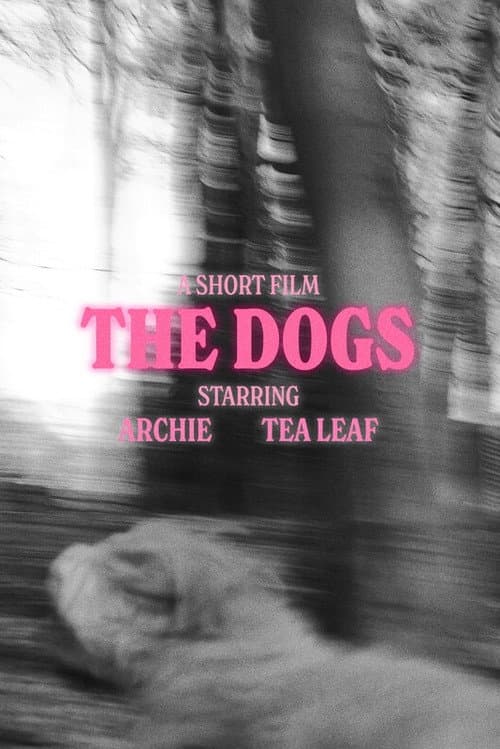 The Dogs (2024) poster